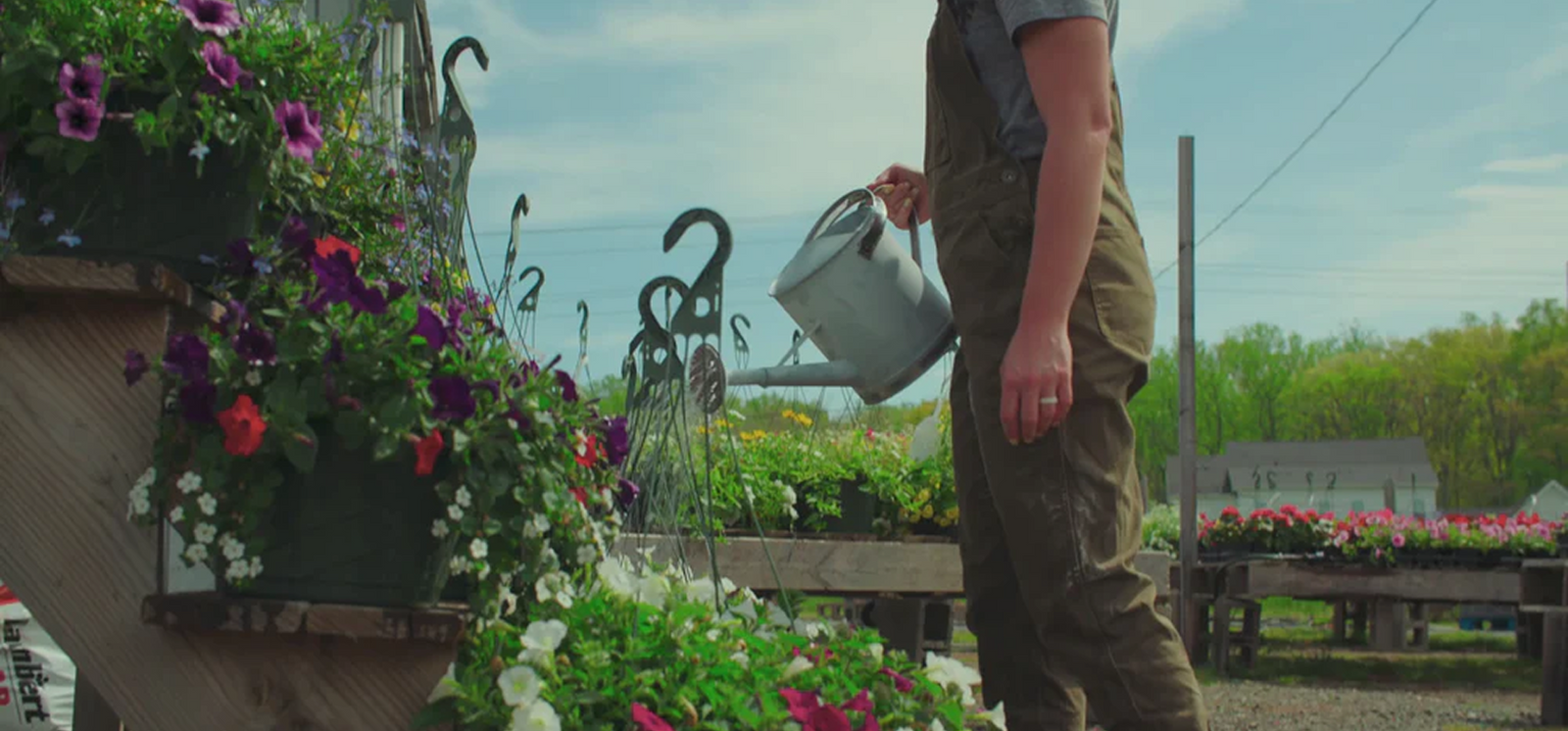 Finally... “Living Soil” That Outproduces Fertilizer.