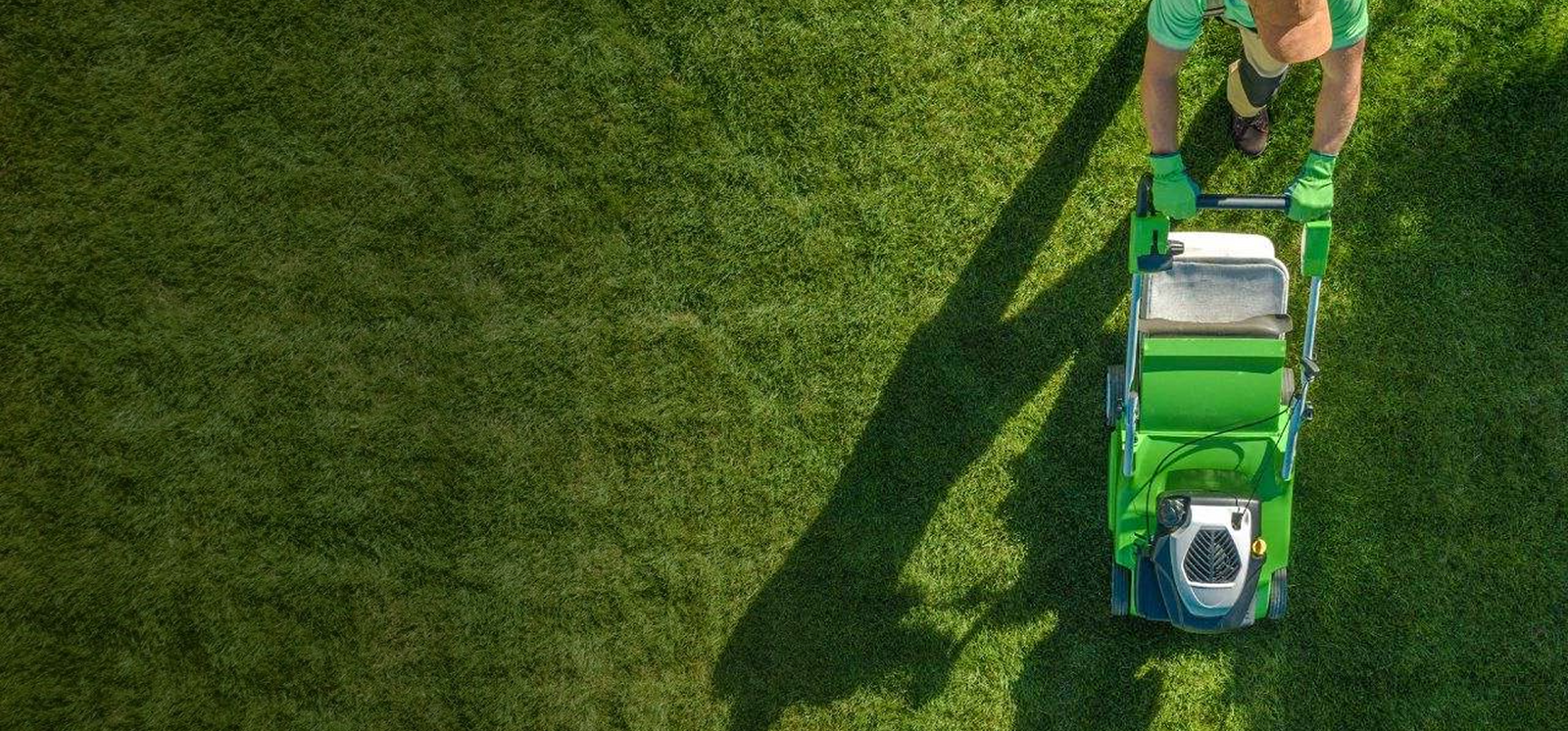 Finally... Beautiful Lawn AND Certified Organic