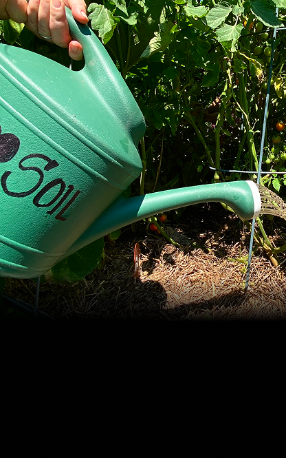 Water into your soil