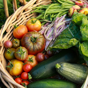 Nutrient Density: the Next Big Frontier in Human Health and Food Production