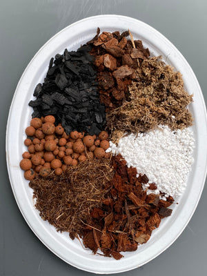 Save Money and Grow Amazing Tropicals Indoors with our Chunky Aroid Soil Recipe