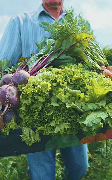 Nutrient Density: the Next Big Frontier in Human Health and Food Production