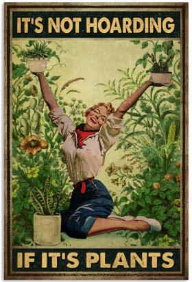 Houseplants: A Healthy Habit