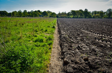 conventional till vs regenerative farm