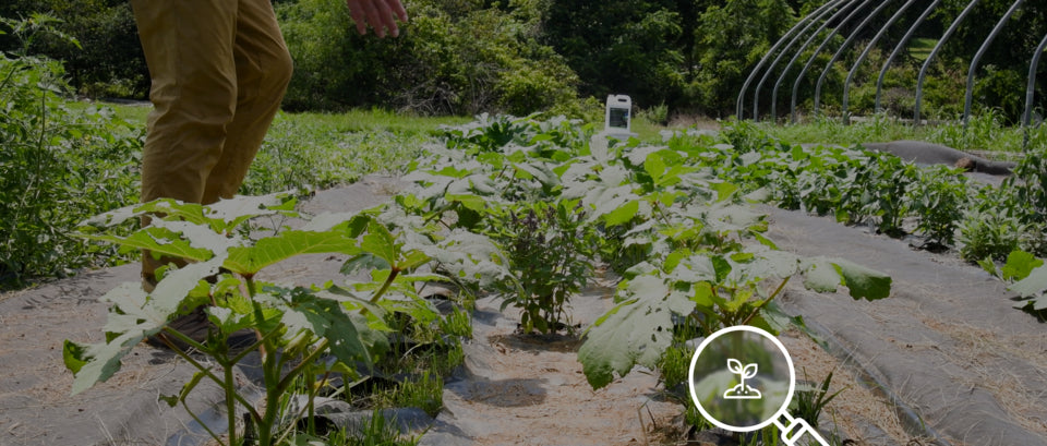 Eden Earth is regenerative fertilizer.