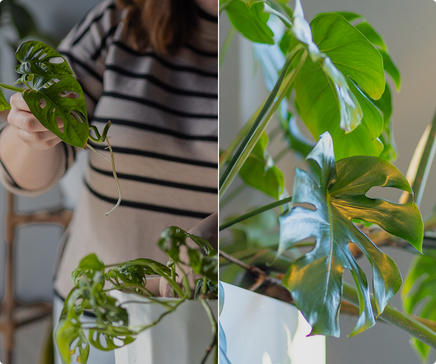 Proven Productivity Benefits