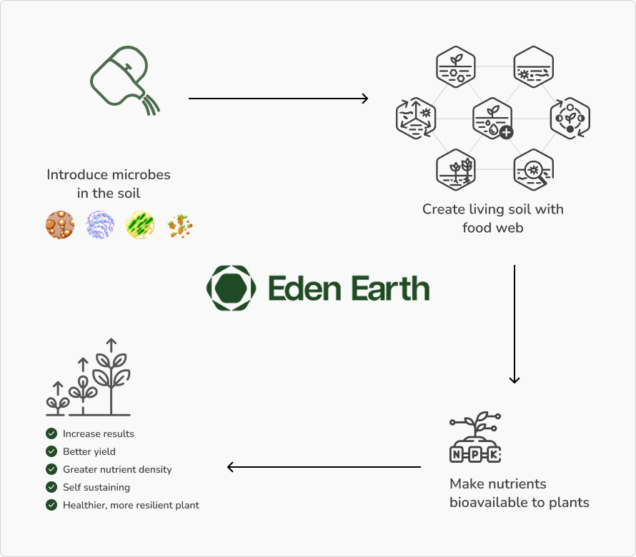 What Soil Microbes Are?