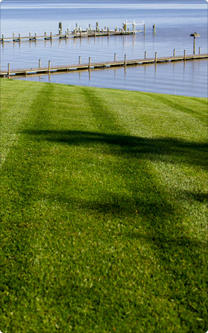 Completely Safe for People, Pets & Pollinators