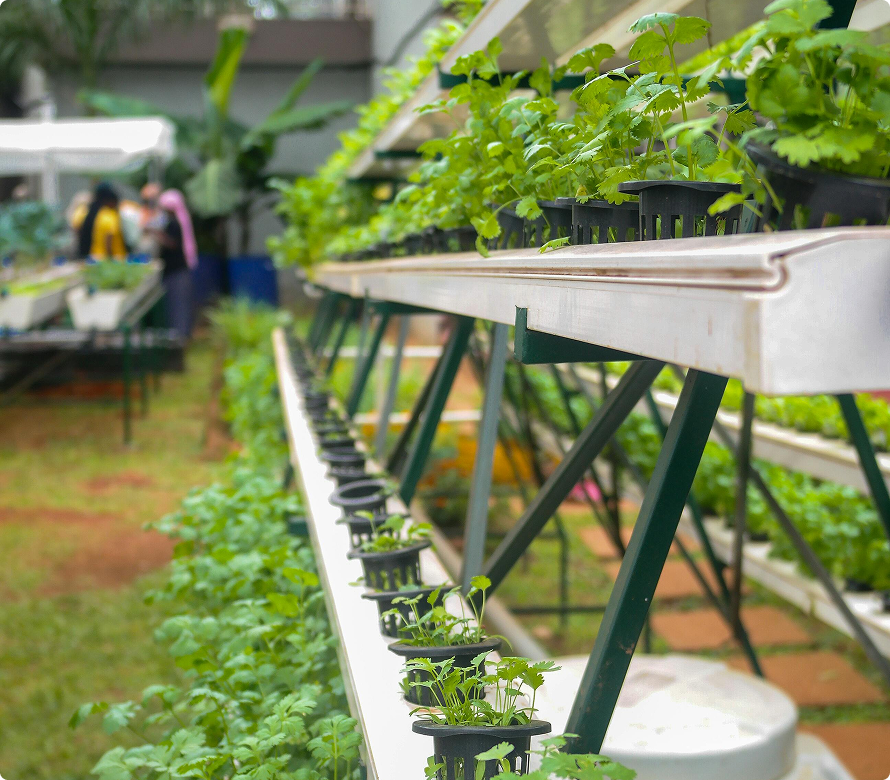 1. Aquatic vs. Terrestrial Environment