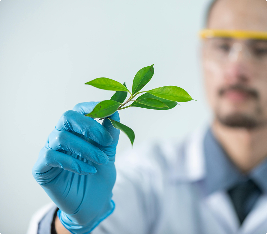 2. Digestive Systems: Rumen vs. Simple Gut