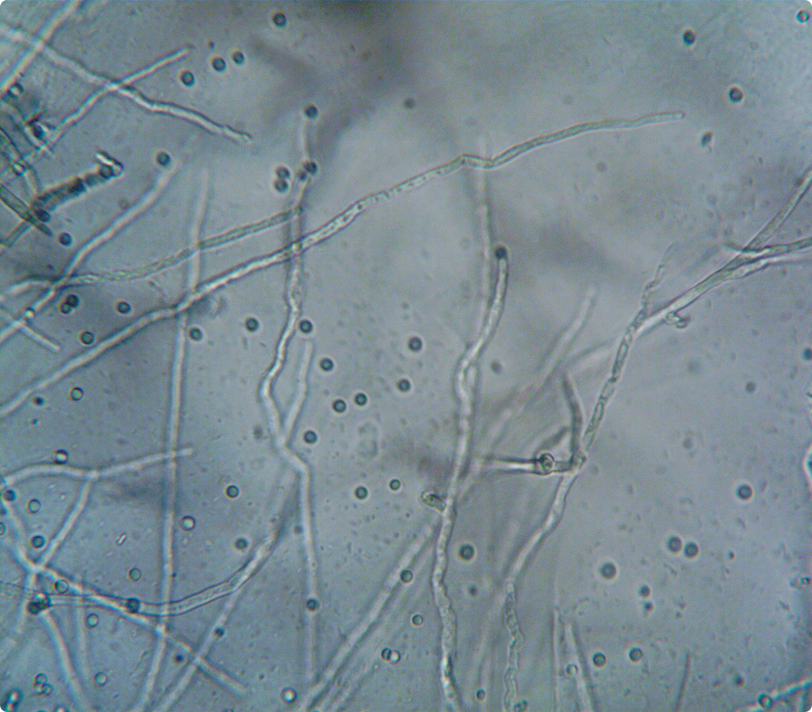 3. Concentration and Immediacy