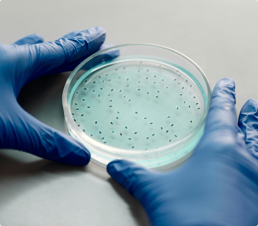 1. Microbial Concentration & Diversity