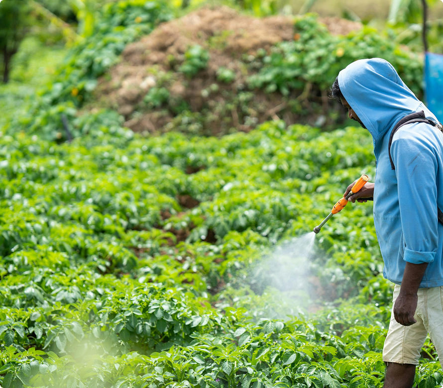 4. Odor and Handling